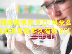 干细胞能填充 🦊 耳朵么（干细胞填充耳垂多久有效 🐵 果）